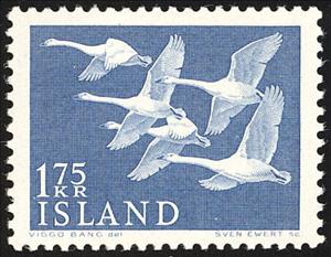 Stamp, Whooper Swan (Cygnus cygnus), Iceland,  , Birds, Swans, Norden, Animals (Fauna)