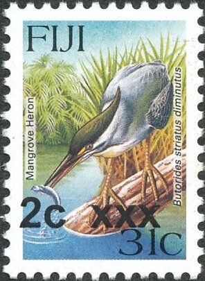 Striated Heron (Butorides striatus)