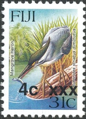 Striated Heron (Butorides striatus)