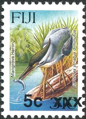 Striated Heron (Butorides striatus)
