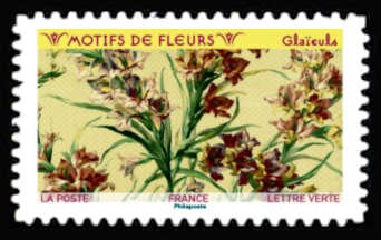 Pattern of Gladiolus