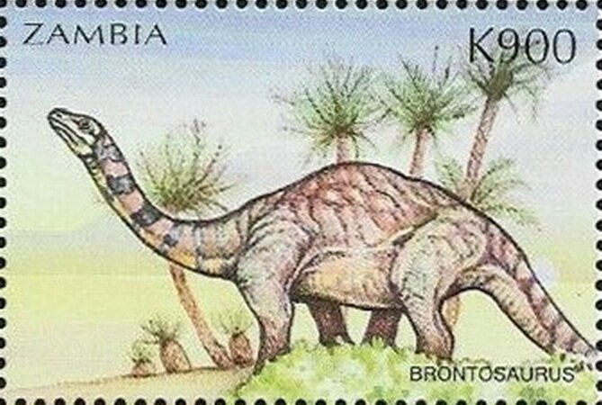 Apatosaurus