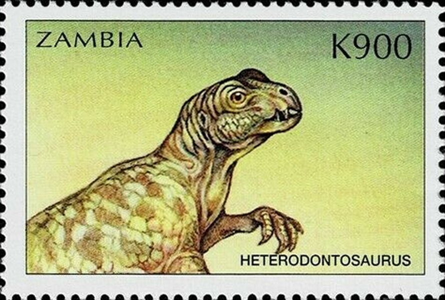 Heterodontosaurus