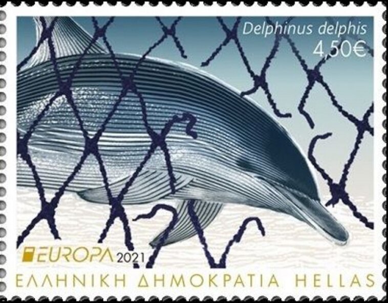 Short-Beaked Common Dolphin (Delphinus delphis)