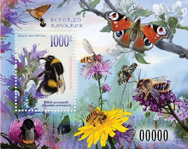 Pollinating Insects