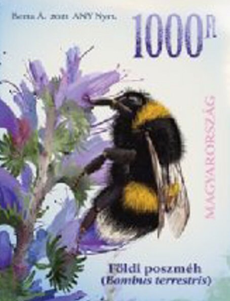 Pollinating Insects