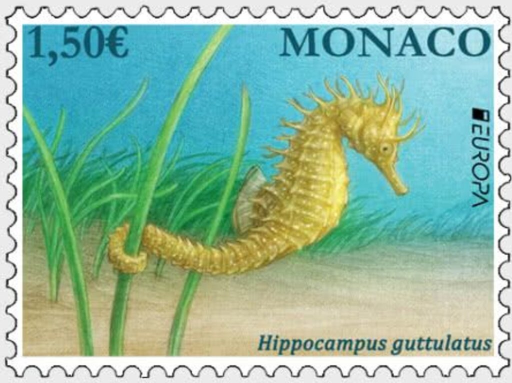 Europa (C.E.P.T.) 2021 - Hippocampus guttulatus
