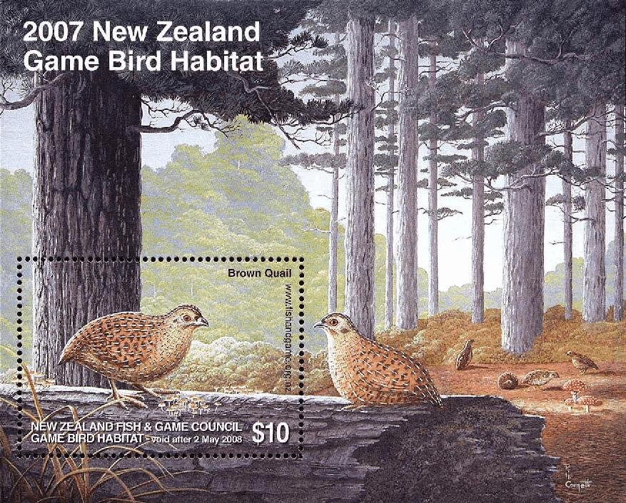 Brown Quail