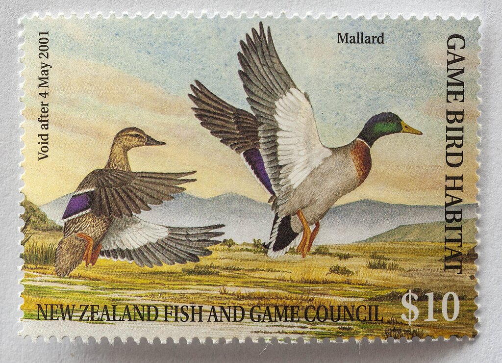 Mallard
