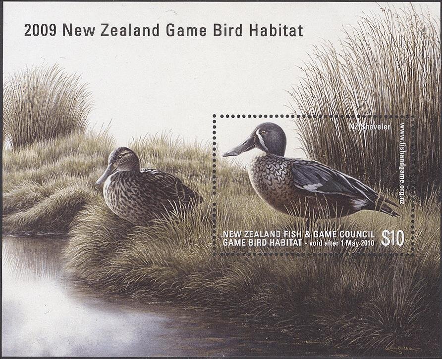 NZ Shoveler