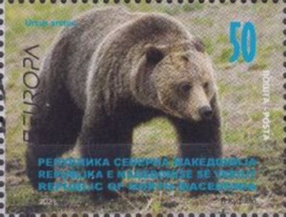 Brown Bear (Ursus arctos)