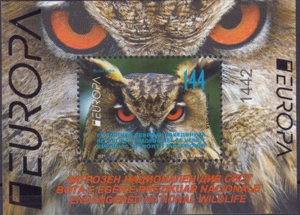 Eurasian Eagle-Owl (Bubo bubo)
