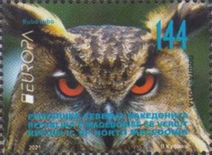 Eurasian Eagle-Owl (Bubo bubo)