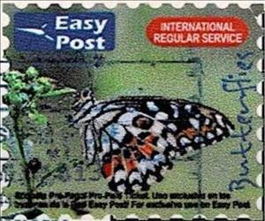 Stamp, Spanish Butterfly, Personalized and Private Mail Stamps,  , Animals (Fauna), Butterflies, Insects
