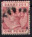 Definitives