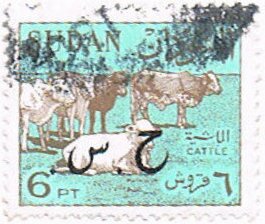 Cattle (Bos primigenius indicus) Herd