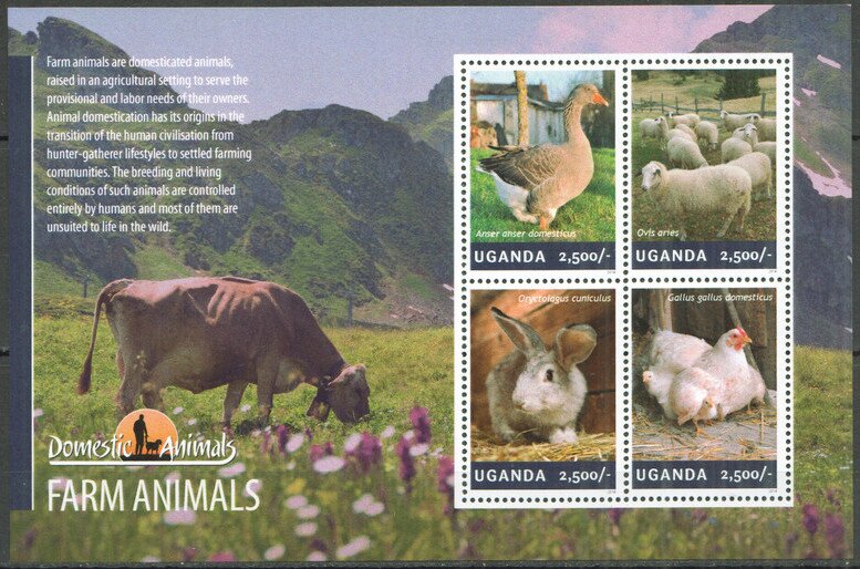 Farm Animals