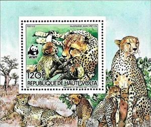 Souvenir Sheet, Cheetah (Acinonyx jubatus), Upper Volta,  , Animals (Fauna), Cheetahs, Mammals, WWF, Wild Cats