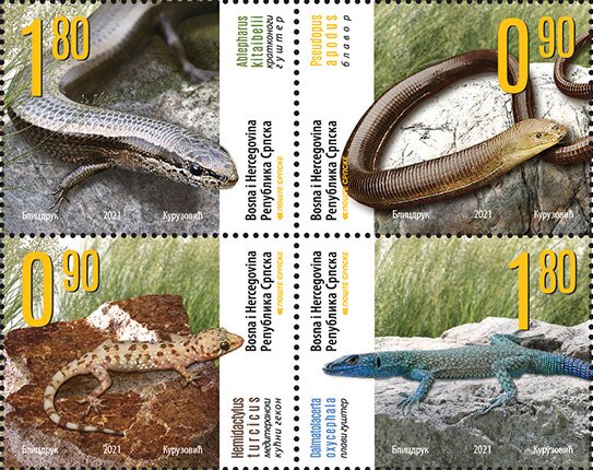 Reptiles