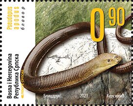 Stamp, Sheltopusik (Pseudopus apodus), Bosnia and Herzegovina, Serbian Admin,  , Animals (Fauna), Lizards, Reptiles