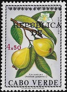Stamp, Common Guava (Psidium guajava), Cabo Verde,  , Fruits, Plants (Flora)