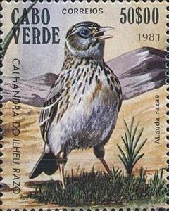 Stamp, Razo Lark (Alauda razae), Cabo Verde,  , Animals (Fauna), Birds