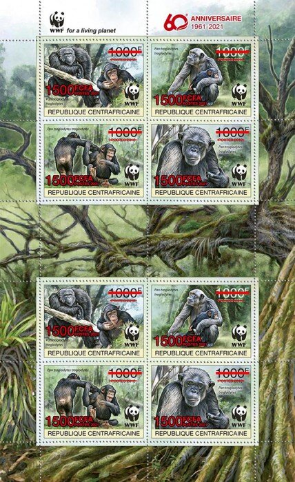 60th Anniversary of WWF