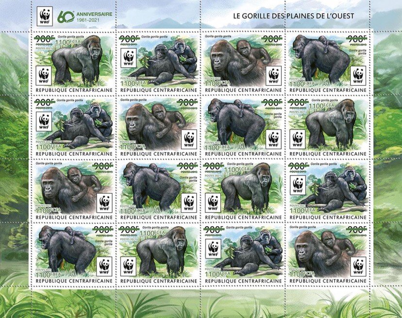 60th Anniversary of WWF