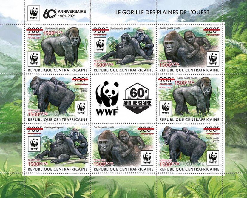 60th Anniversary of WWF