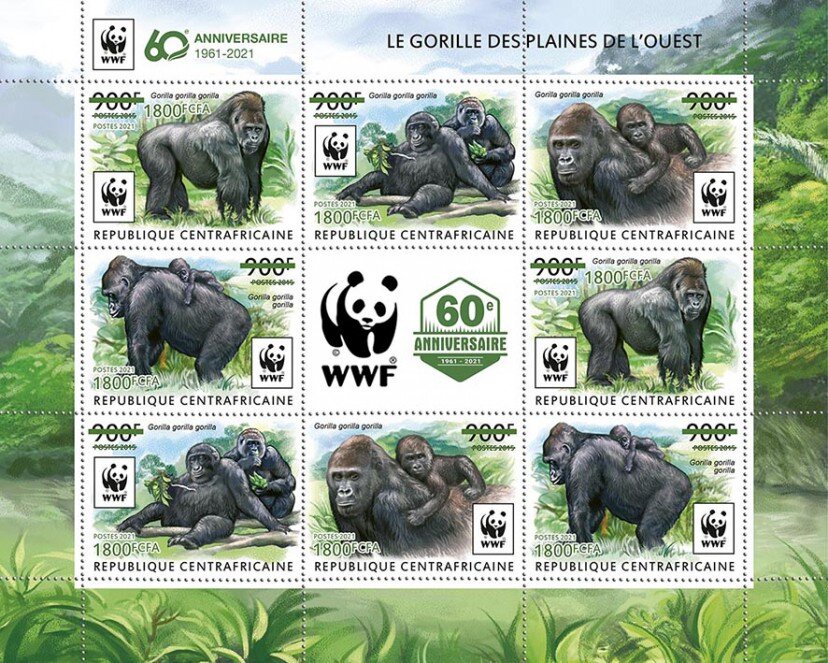60th Anniversary of WWF