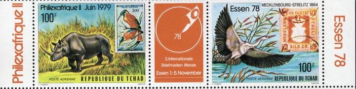 Diceros Bicornis and Ardea Cinerea