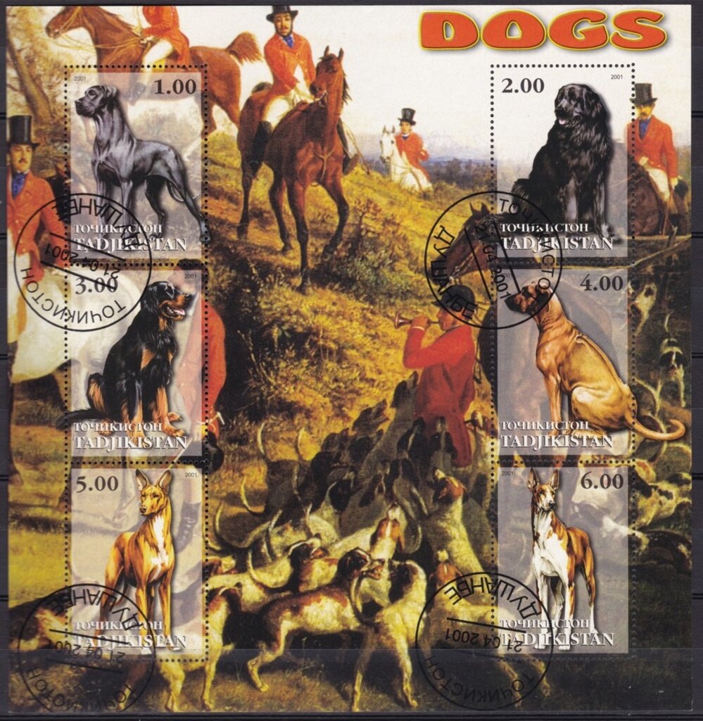 Dogs