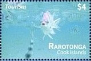 Tourism - Rarotonga - Fish