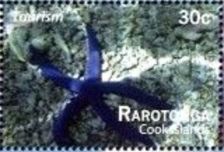 Tourism - Rarotonga - Starfish