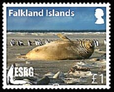 Stamp, Elephant seal, Falkland Islands,  , Animals (Fauna), Environment Protection, Seals (Animals)