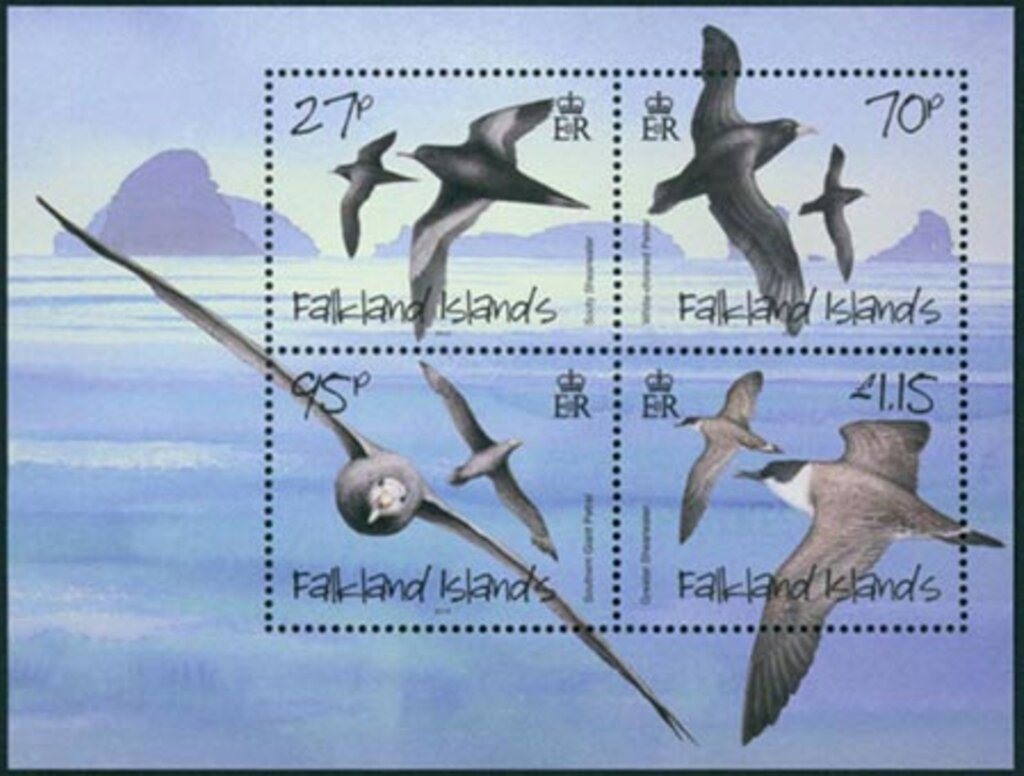 Petrels & Shearwaters