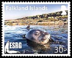 Stamp, Southern Elephant seal (Mirounga leonina), Falkland Islands,  , Animals (Fauna), Environment Protection, Sea Life, Seals (Animals)