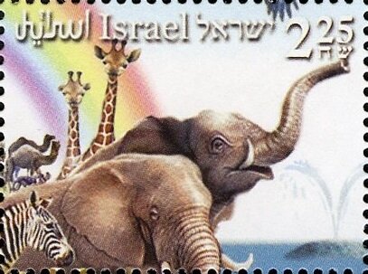 Camels, Giraffes, Zebra, Elephants, Whale