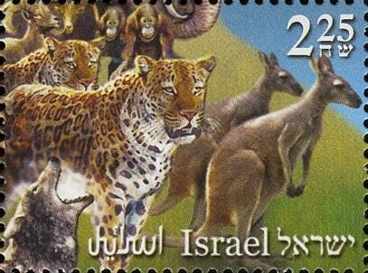 Wolf, Leopards, Goats, Kangaroos