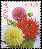 Dhalia