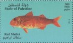 Fishes of the Mediterranean Sea