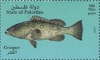 Fishes of the Mediterranean Sea