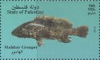 Fishes of the Mediterranean Sea