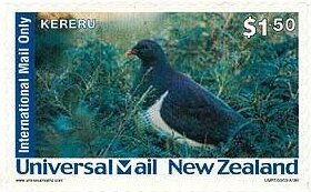 Kereru 3