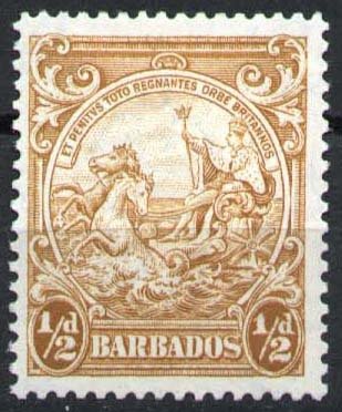 Definitives