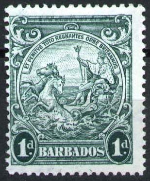 Definitives