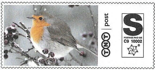 Stamp, Robin in Winter, Personalized and Private Mail Stamps,  , Animals (Fauna), Birds, Winter