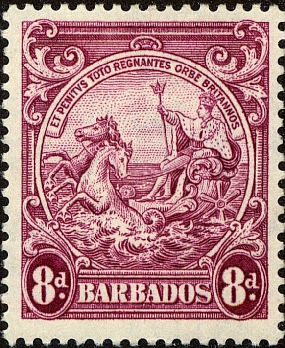Definitives