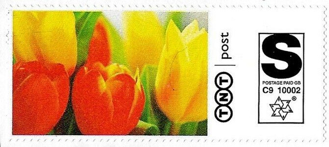 Stamp, Tulips, Personalized and Private Mail Stamps,  , Flowers, Plants (Flora), Tulips