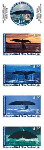 Whale Watch 1